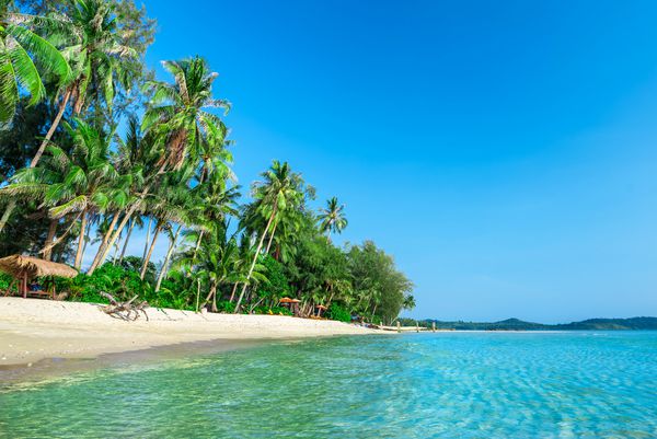 صحنه طبیعت تابستانی ساحل گرمسیری با دریا آسمان آبی و نخلستان ها جزیره قد در قسمت جنوب شرقی تایلند واقع شده است ساحل زیبای دریا و شن و ماسه سفید