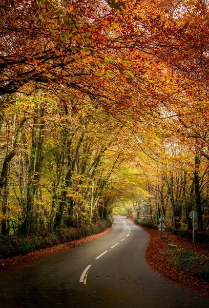 جاده ای شکل در پارک ملی Dartmoor در انگلستان