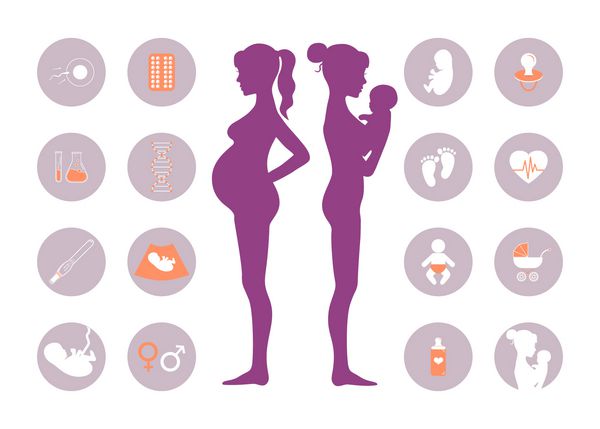 نمادهای بارداری و نوزاد متولد شده اند عنصر اینفوگرافیک بارداری و تولد تصویر برداری از شبح های زن باردار مراقبت از نوزاد تصویر تولد مادر