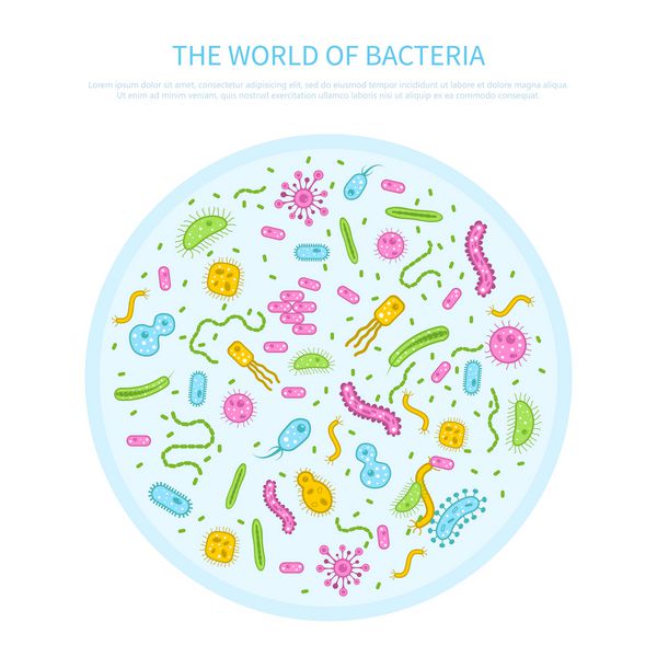باکتری های رنگی مختلف در تصویر مفهوم میکروبیولوژی پاتریک شیشه ای پتری