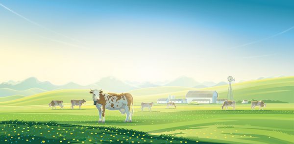 منظره روستایی با گاوها و مزرعه با مناظر کوهستانی در پس زمینه