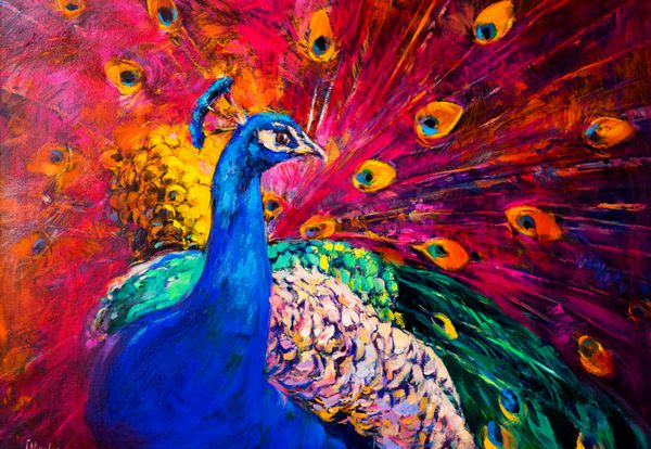 نقاشی اصلی روغن روی بوم طاووس زیبا و چند رنگ هنر مدرن