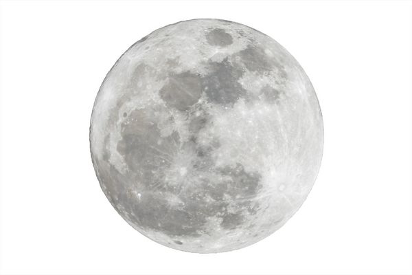 ماه کامل بر روی زمینه سفید جدا شده است