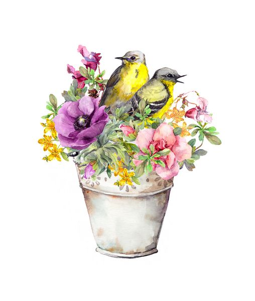 گلهای تابستانی و دو پرنده در آبیاری پرنعمت آبرنگ