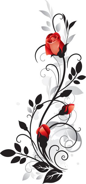 زینتی با گلهای رز