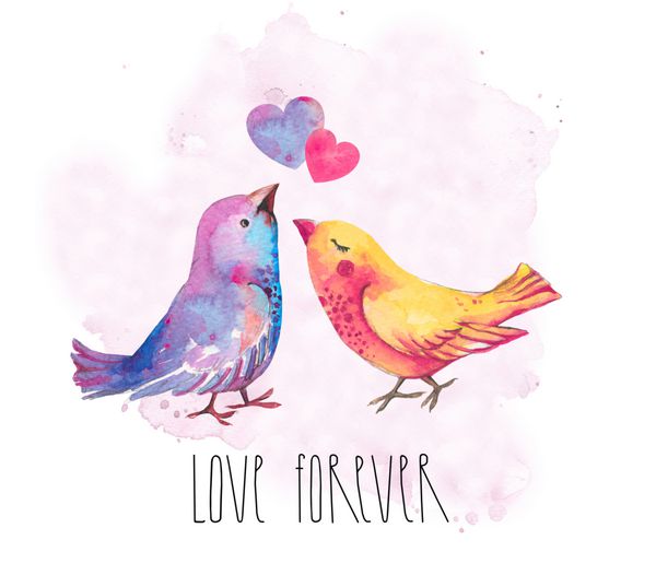 پرندگان عاشق روز ولنتاین و x27؛ s عشق برای همیشه پرندگان و قلبها تصویر آبرنگ بر روی زمینه سفید جدا شده کارت پستال کارت عروسی