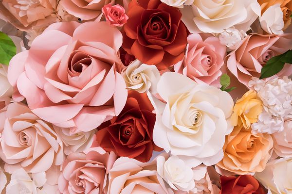 گل رز را برای کارت پستال تقویم یا انواع دیگری از دکوراسیون Toned روز ولنتاین مراسم عروسی ببندید