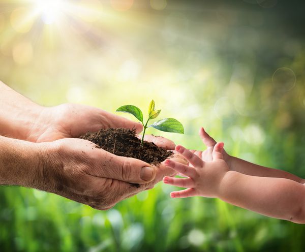 پیرمرد گیاه جوانی را به کودک می دهد محافظت از محیط زیست برای نسل جدید