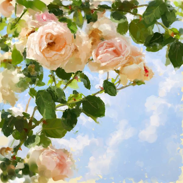 تصویر رنگی دیجیتالی با گل رز و آسمان می تواند به عنوان کارت دعوت یا پیش زمینه تصویر کارت استفاده شود