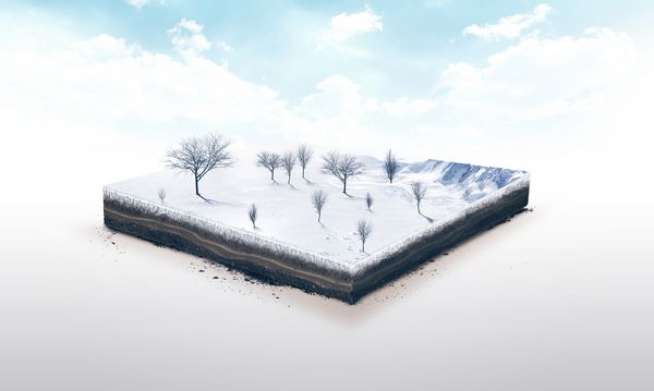 تصویر سه بعدی از یک برش خاک طبیعت زمستانی با درختان جدا شده در پس زمینه سفید