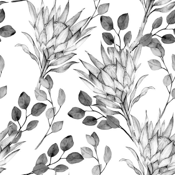 الگوی برگهای پروتئین و اکالیپتوسهای آبرنگ شاخه ای دارند نقوش یکپارچه با عناصر گل با دست کشیده شده در زمینه سفید برای بسته بندی کاغذ دیواری پارچه پارچه