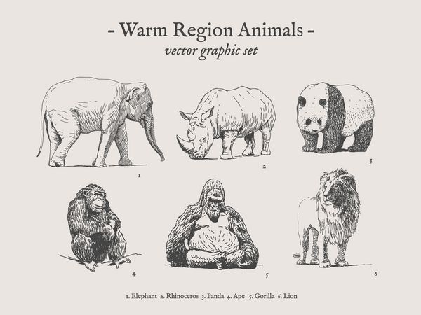نقشه حیوانات منطقه گرم روی زمینه خاکستری با فیل کرگدن پاندا میمون گوریل شیر تنظیم شده است