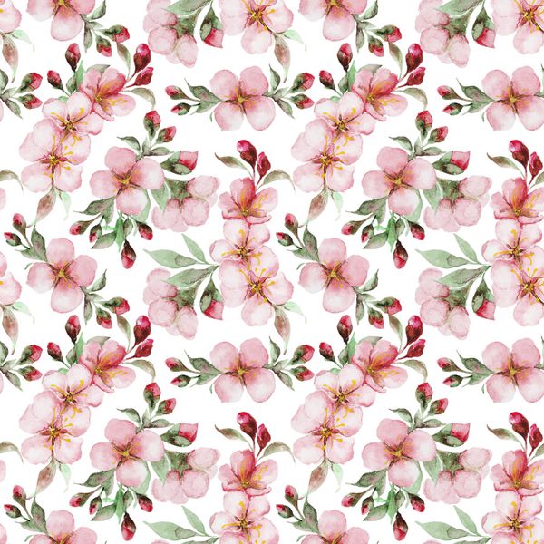 الگوی بدون درز گلهای ساکارا آبرنگ الگوی گل با شاخه های گیلاس شکوفه ایده آل برای عروسی یا کارت تبریک