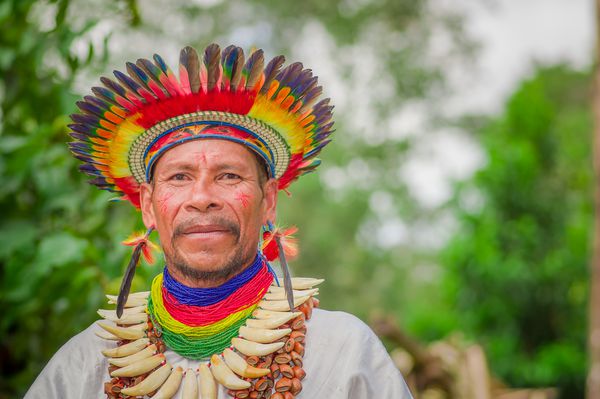 LAGO AGRIO اکوادور 17 نوامبر 2016 بستن یک شیمان Siona با لباس سنتی با یک کلاه پر در یک دهکده بومی در رزرو حیات وحش Cuyabeno