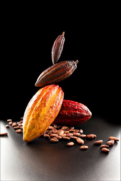 دانه های کاکائو