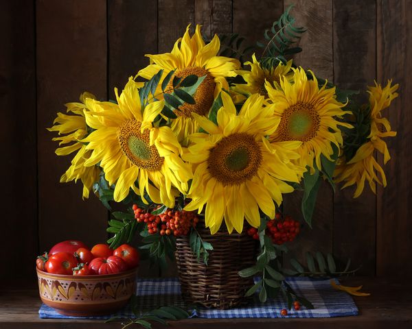 دسته گلهای گل آفتابگردان و شاخه های روون با انواع توت ها در سبد و گوجه فرنگی ها در یک کاسه سفالی روی میز زنگ زدگی هنوز زنده است