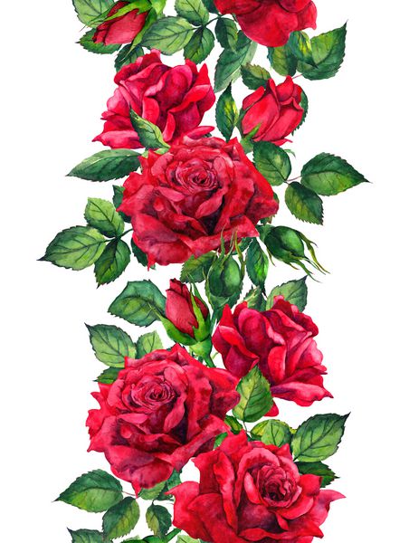 گلهای رز قرمز مرز بدون درز گل قاب آبرنگ