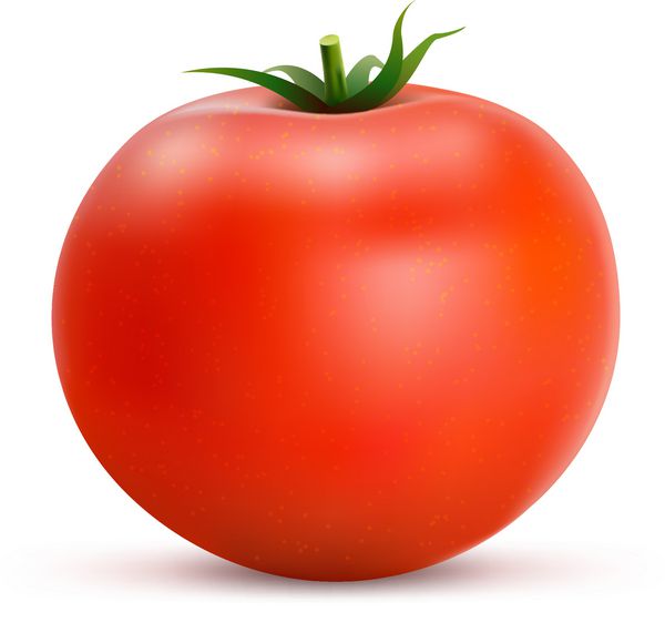 گوجه فرنگی جدا شده بر روی زمینه سفید گوجه فرنگی قرمز به سبک واقعی تصویر برداری