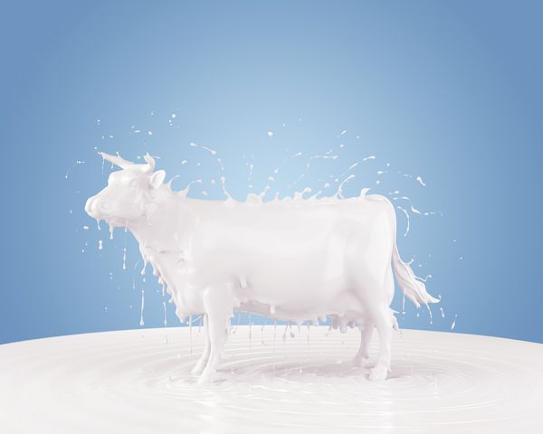 پاشیدن شیر به شکل گاو شکل با مسیر قطع تصویر سه بعدی