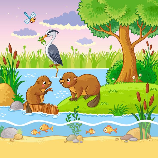 وکتور مجموعه با حیوانات و طبیعت به سبک کودکان amp x27؛ Beavers در نزدیکی سد هستند حشره قورباغه را در منقار خود نگه می دارد