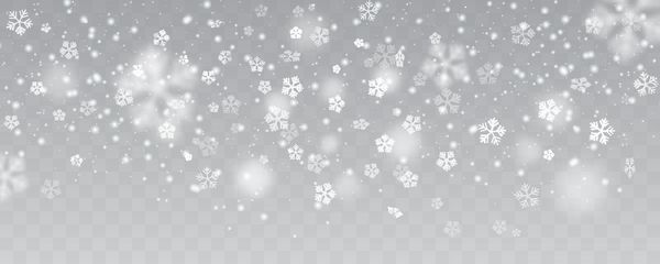بارش برف سنگین برف های برف در اشکال مختلف اشکال تصویر برداری بسیاری از عناصر پوسته پوسته سفید در پس زمینه شفاف