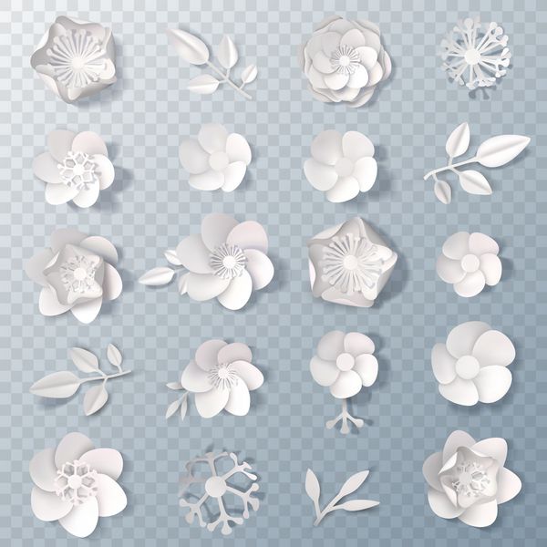 مجموعه ای از گل ها و برگهای ظریف کاغذ سفید واقع گرایانه جدا شده در تصویر برداری 3D پس زمینه شفاف