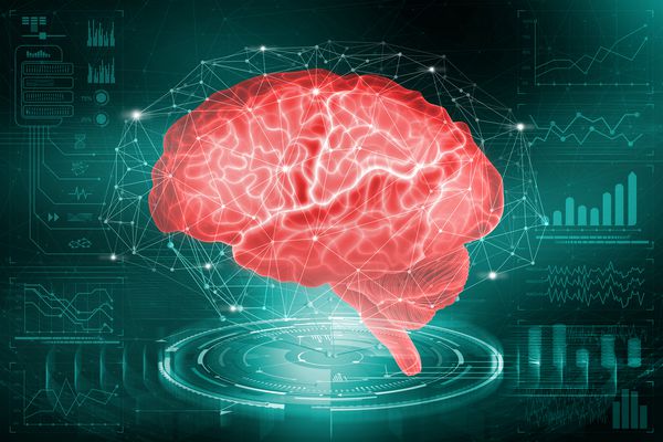 مغز انسان بررسی امکانات مغز در رشد هوش مصنوعی تجزیه و تحلیل و بازسازی شبکه های عصبی تصویر سه بعدی در تحقیقات پزشکی