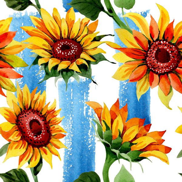 الگوی گل آفتابگردان گل آفتابگردان به سبک آبرنگ نام کامل گیاه آفتابگردان گل وحشی Aquarelle برای پس زمینه بافت الگوی بسته بندی قاب یا حاشیه