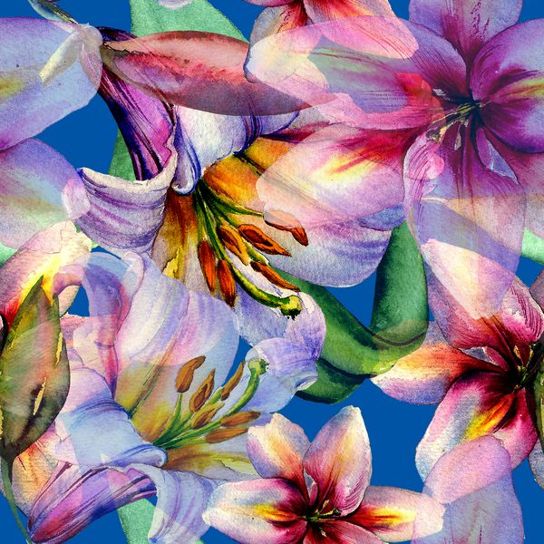 الگوی گلهای زنبق وحشی آبرنگ