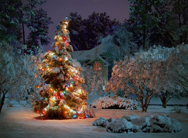 درخت کریسمس در فضای باز برفی با چراغ های چند رنگ پوشانده شده است