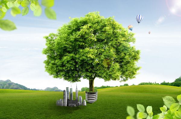 درخت و آسمان خراش مفهوم اکولوژی