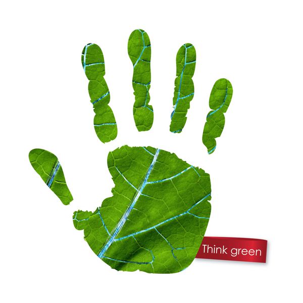 دست سبز که از برگ ساخته شده است سبز بیاندیش مفهوم اکولوژی