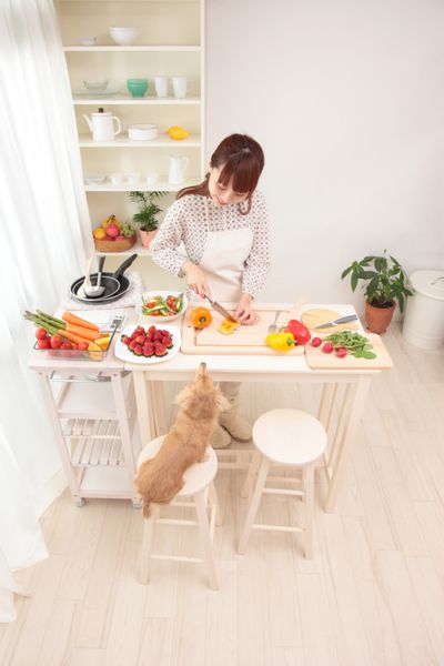 زنان زیبا آسیایی به همراه سگ برای آشپزی در آشپزخانه آماده می شوند