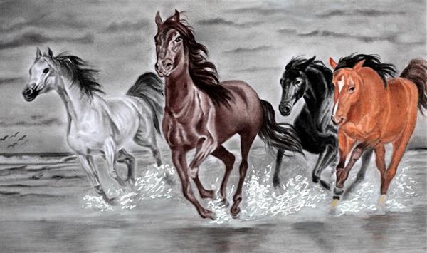 اسب ها و دریا نقاشی سیاه و سفید گله اسب ها در دریا