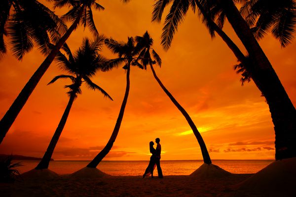 بوسه زن و شوهر در ساحل گرمسیری با درختان نخل با غروب آفتاب در
