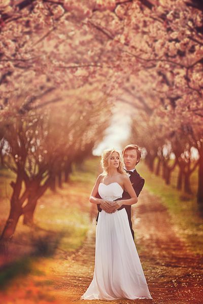 عروسی در باغ بهار
