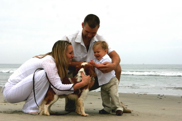 خانواده در ساحل با سگ 2