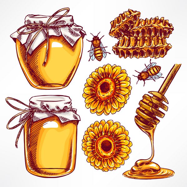 مجموعه عسل