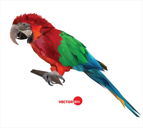 پرنده بزرگ طوطی طوطی ماکائو رنگارنگ بر روی یک برانک