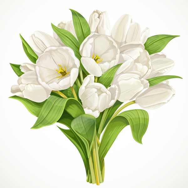 دسته گل لاله های سفید