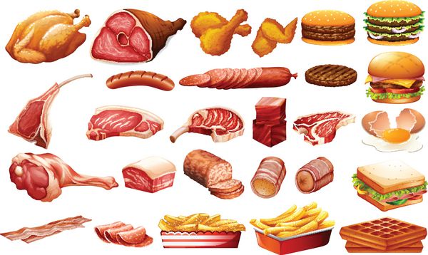 انواع مختلف گوشت و مواد غذایی