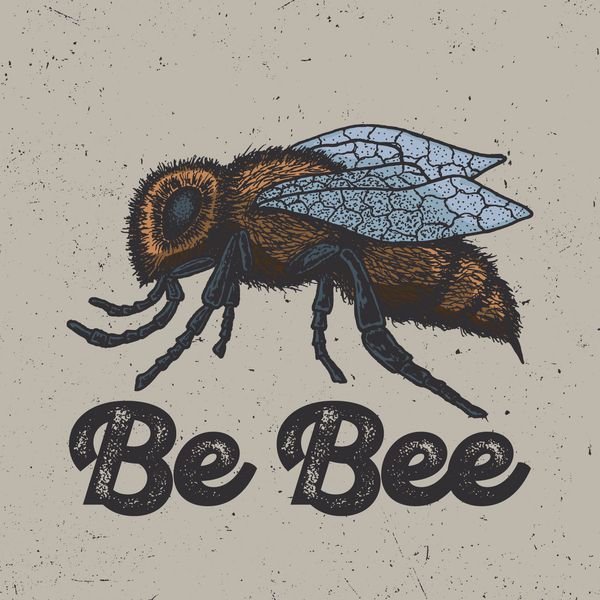 با استفاده از جوهر زنبور عسل طراحی آرم برای پوستر تی شرت و غیره تصویر برداری