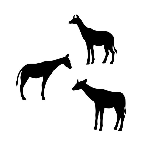 طرح های بردار Okapi