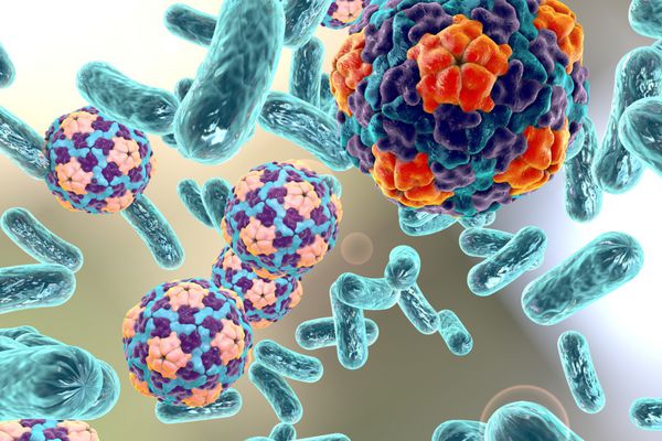 باکتری ها و ویروس ها ویروس هپاتیت A در پس زمینه رنگارنگ سوابق پزشکی سوابق بهداشتی