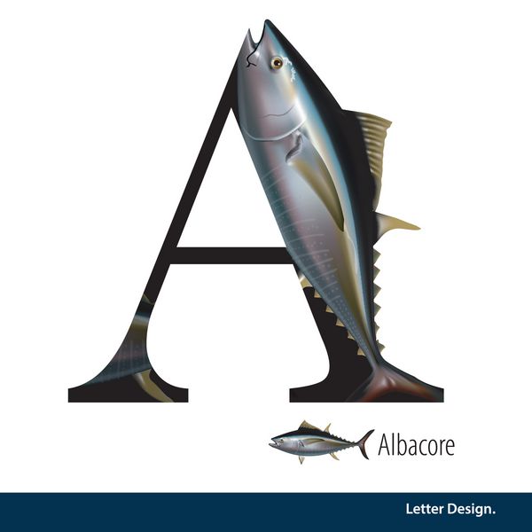 تصویر برداری نامه A برای الفبای ماهی Albacore