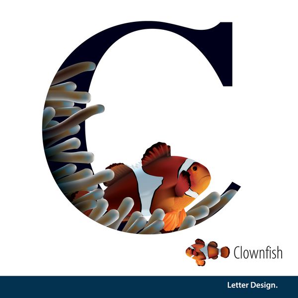 تصویر برداری نامه C برای Clownfish با الفبای مرجانی