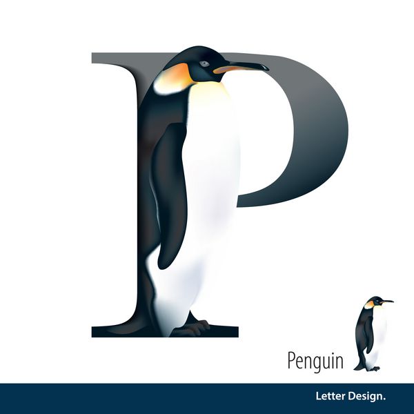تصویر برداری از نامه نامه P الفبای پنگوئن است abc انگلیسی