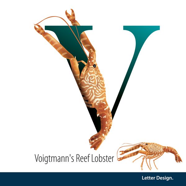 تصویر برداری نامه V الفبای خرچنگ Voigtmann Reef است