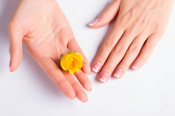 گل رز زرد زیبا در یک دست زن
