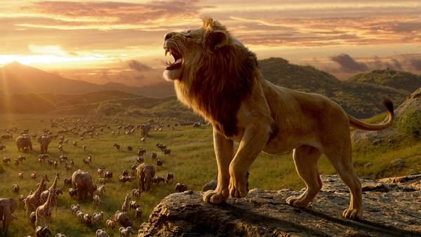 شیر شاه سرزمین غرور